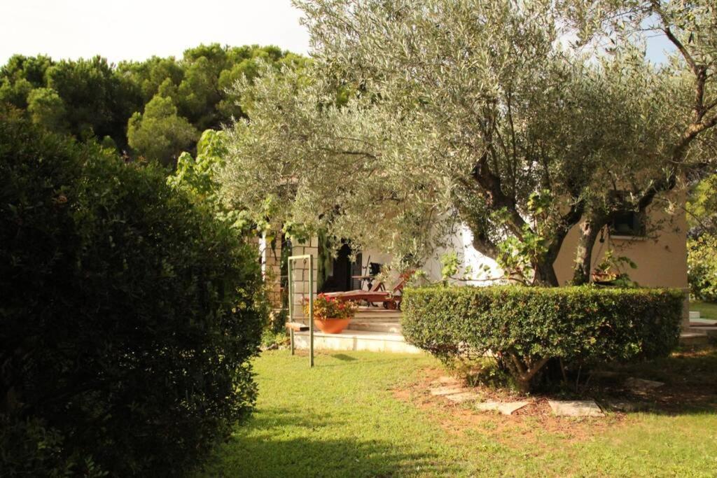 Villa Di Campagna Vicino Al Mare Орозей Екстер'єр фото